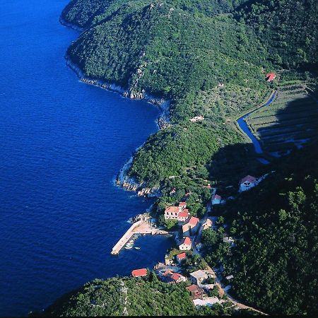 Apartmani Popovic Babino Polje Bagian luar foto